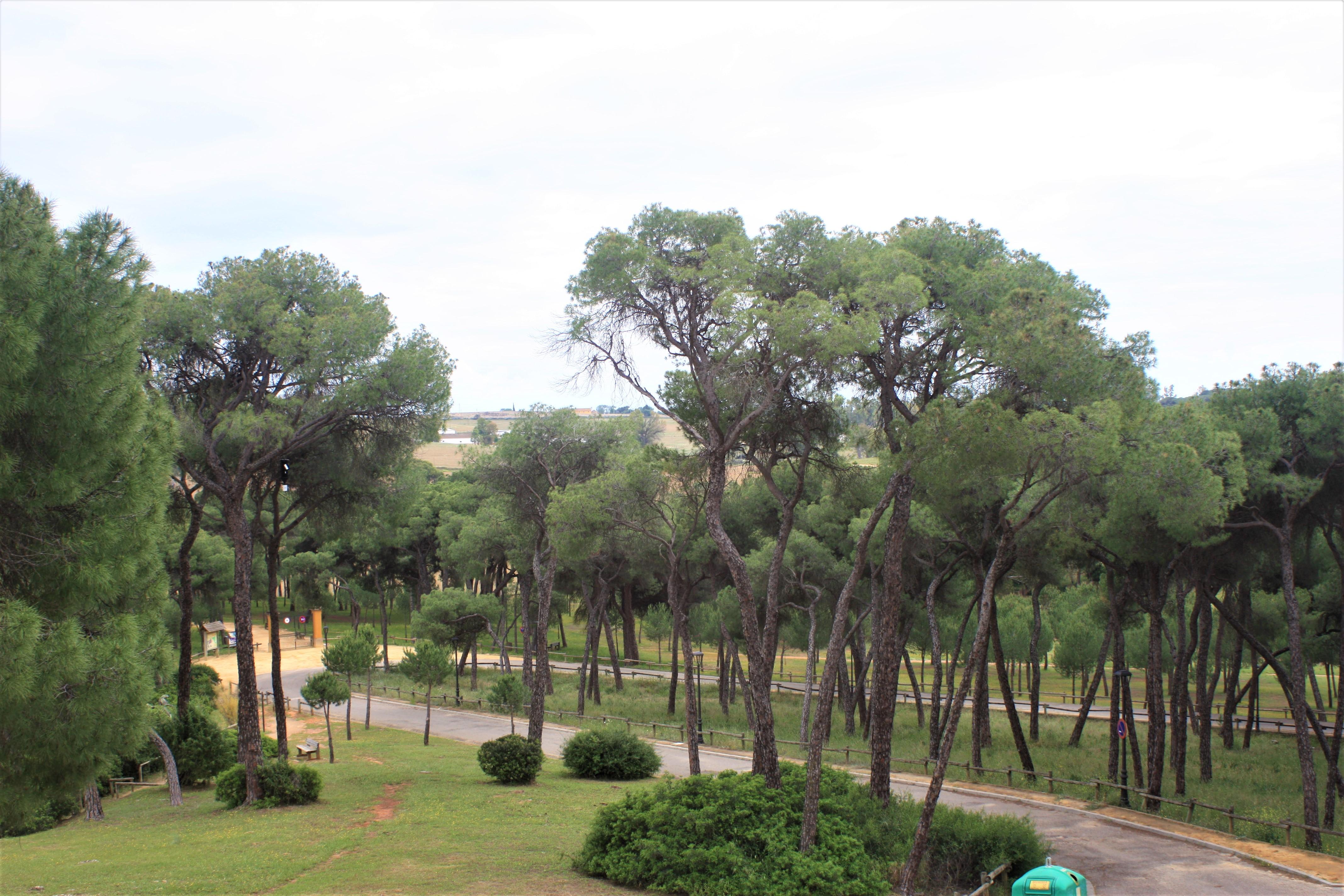 Hotel Oromana Alcala de Guadaira Ngoại thất bức ảnh