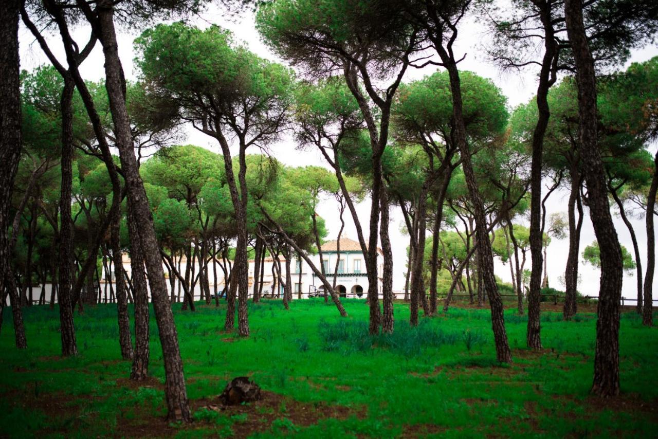 Hotel Oromana Alcala de Guadaira Ngoại thất bức ảnh